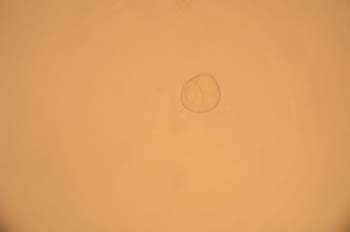 DSCN4023