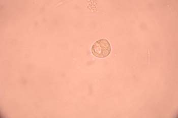 DSCN4024