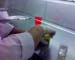 DSC00290