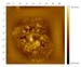 skincell.002