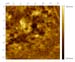 skincell.004.1