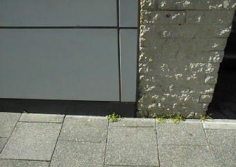 072