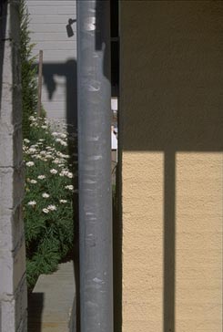 091