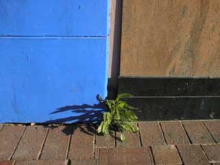 image04