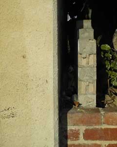 image08