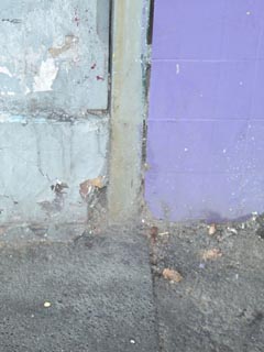 pic13