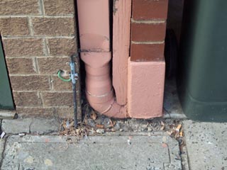 pic2