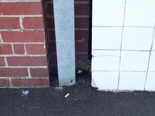 pic5