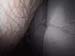 body1